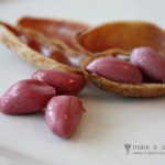 Boiled Peanuts……a real Southern Treat!!