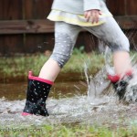 We interrupt these rainstorms.......