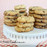 Gluten Free Cookies.......Shared!