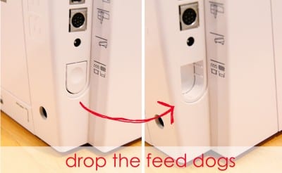 feed dogs