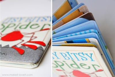 spider book