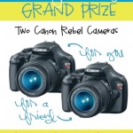 HUGE GIVEAWAY: Something for YOU plus a FRIEND (plus 3 other lucky winners!)