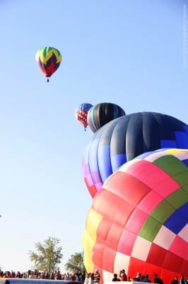 IMG_9100