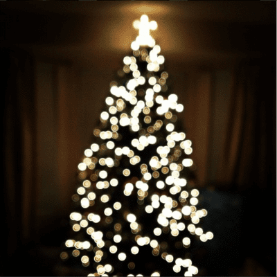 Merry Christmas (and Happy Holidays) 2012