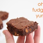 Gluten Free Chewy Brownies.....{gluten-eaters won't know the difference!!}