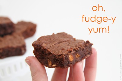 Gluten Free Chewy Brownies…..{gluten-eaters won’t know the difference!!}