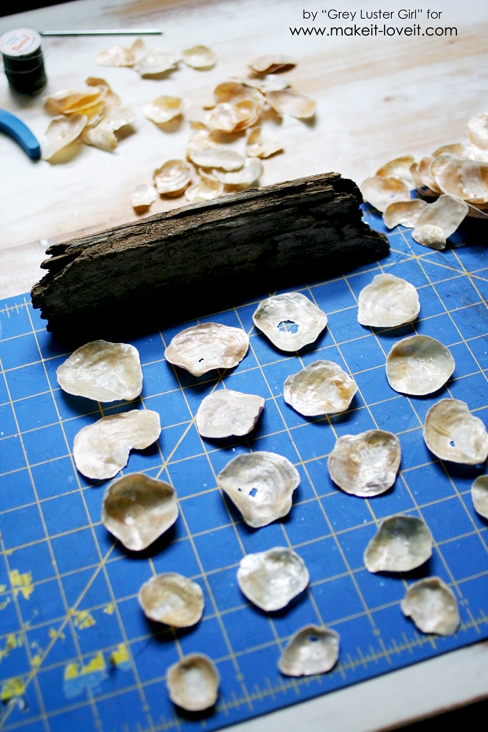 How to Make a Seashell Mobile (3)