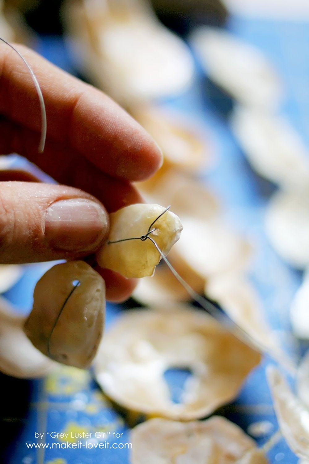 How to Make a Seashell Mobile (9)