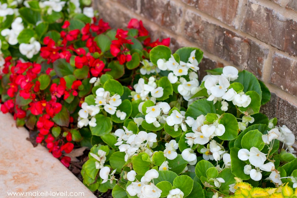 How To Landscape & Hardscape a Front Yard (...from our experience!!) | www.makeit-loveit.com